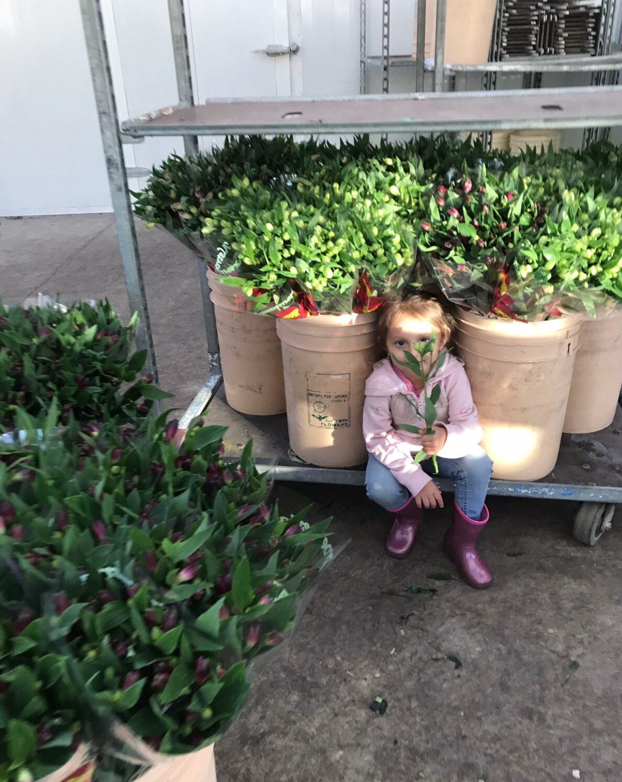A child sitting happily among flowers at Mirabelle Nurseries